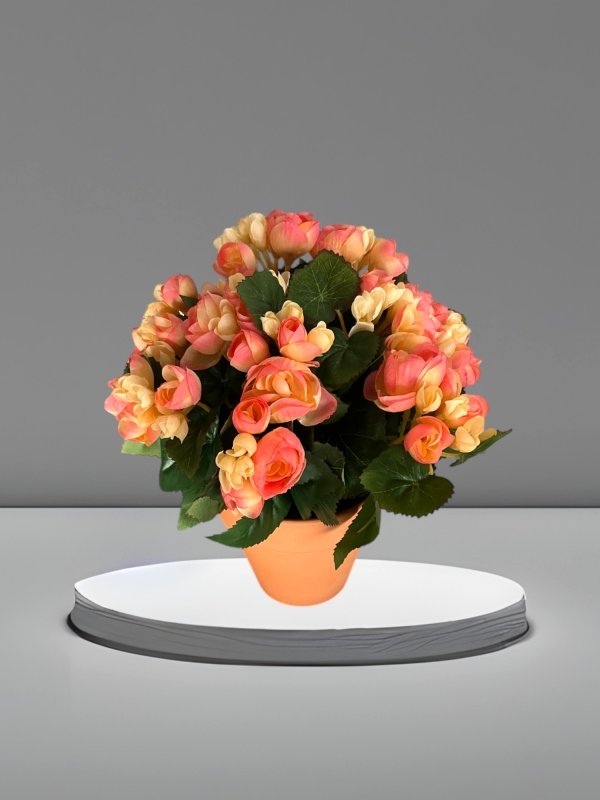 Fleurs Oranges en Pot en Terre Cuite