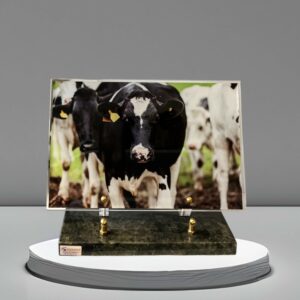 Plaque avec Vache en Altu