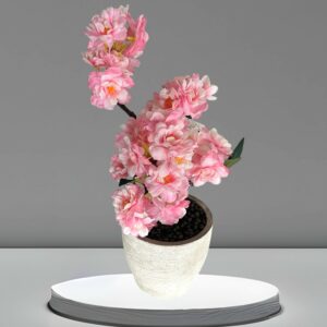 Fleurs Roses en Pot