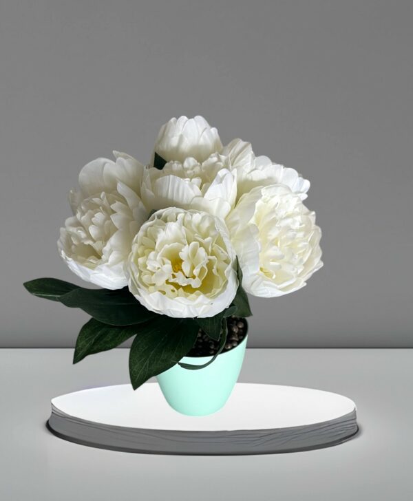 Fleurs Blanches en Pot