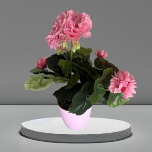 Fleurs Roses en Pot
