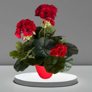 Fleurs Rouges en Pot