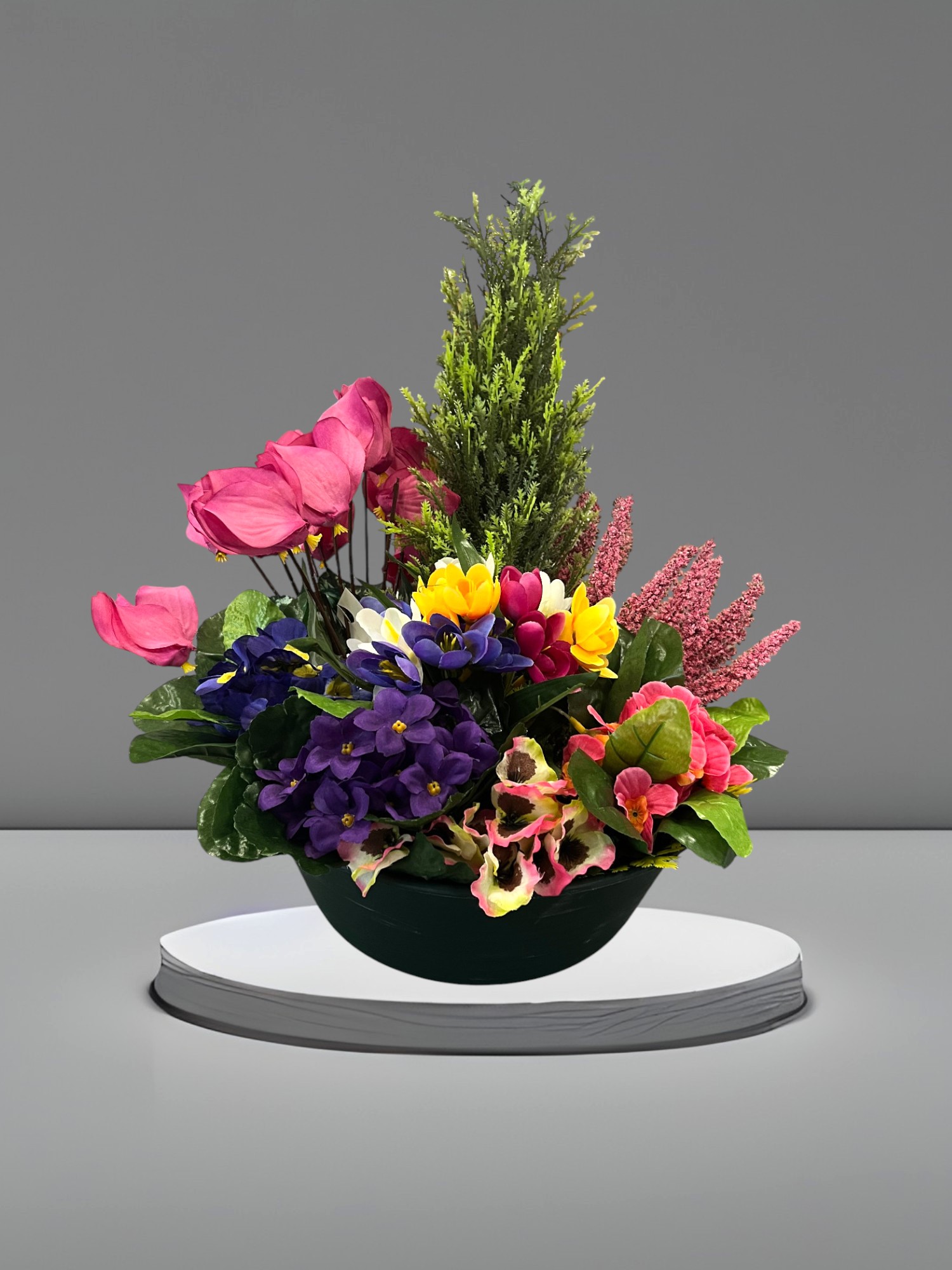 Composition Fleurs et Sapin en Pot